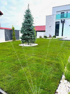 Servicii Peisagistice 