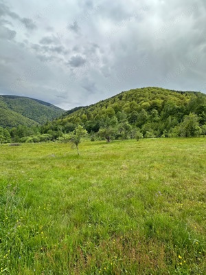 Teren de vânzare in Poiana Mărului ( Caraș Severin )  - imagine 4