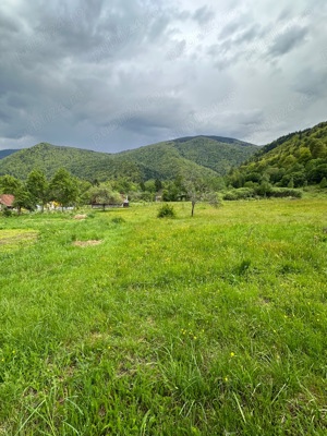 Teren de vânzare in Poiana Mărului ( Caraș Severin )  - imagine 5