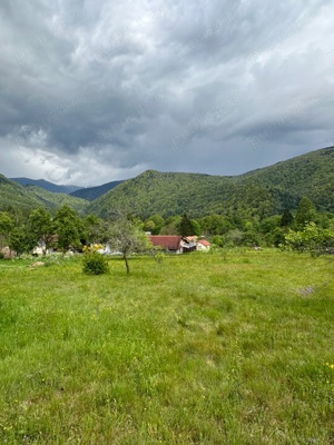 Teren de vânzare in Poiana Mărului ( Caraș Severin )  - imagine 6