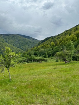 Teren de vânzare in Poiana Mărului ( Caraș Severin )  - imagine 2