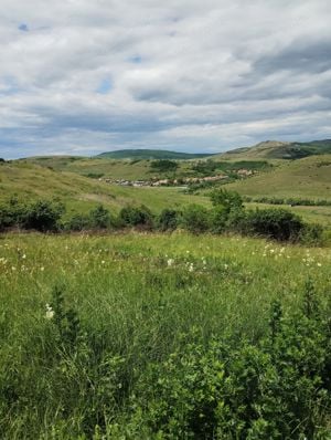 Vând teren intravilan în Baciu sat Rădaia  - imagine 2