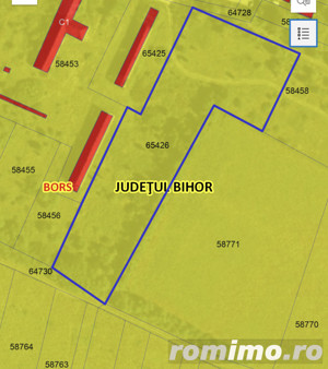Teren intravilan constructii hale industriale, 11000 mp.,loc.Santaul Mic/Bors - imagine 2