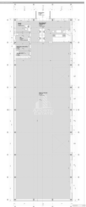 Hala de inchiriat Sacalaz- Parcul Industrial - imagine 2