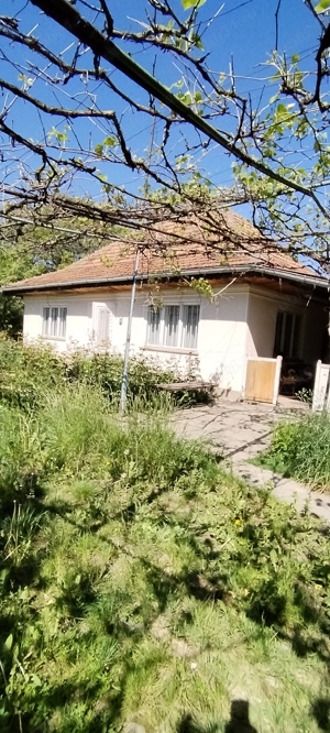 Vând casă cu gradina la Bodeștii de sus,str.Ciresului nr. 12. - imagine 4