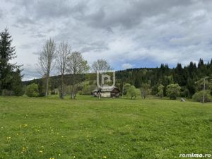 Pasune alpina si padure de vanzare langa Vatra Dornei - imagine 12