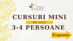 Cursuri mini intensive