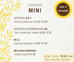 Cursuri mini intensive - imagine 2