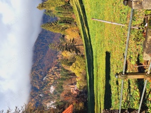 Ford Mustang mașină istorică  - imagine 9