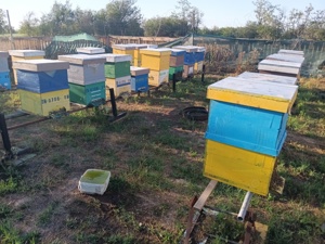 Lichideze stupina - imagine 4