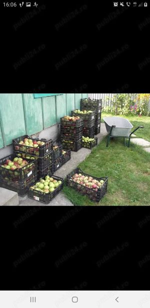 Tuica fructe cu tescovina 40   - imagine 2
