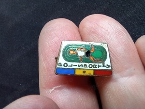 insignă România POLISPORTIV