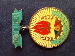 insigna   medalie RSR, DISTINS CU TITLUL Pionier de Frunte