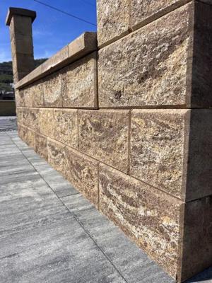 Boltar Gard Arhitektur Sepia - imagine 2