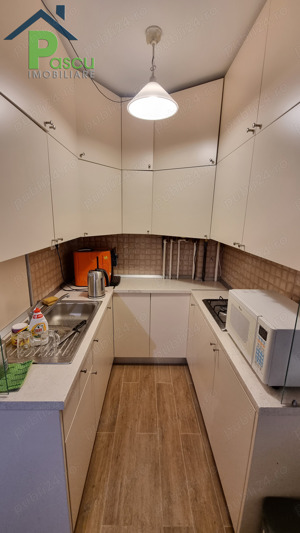 Brancoveanu, Alunisului, stradal, parter, curte proprie, loc parcare - imagine 4