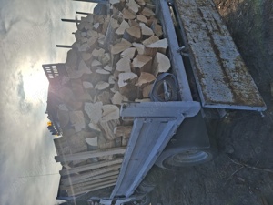 Lemne tăiate la orice dimensiune doriți, fag.