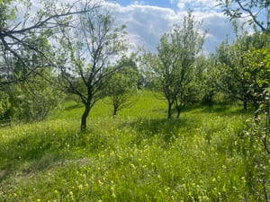 Teren de vânzare-zona Schiulesti Prahova - imagine 2