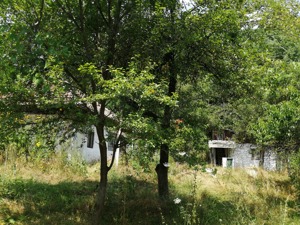 Vand teren intravilan si casa in orasul Baia de Arama - imagine 3