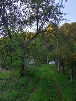 Vand teren intravilan si casa in orasul Baia de Arama - imagine 8