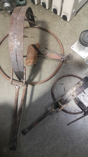 Capcana șobolani dihori vulpi jderi și alte sobodinozauri