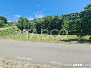 Teren intravilan cu iesire la rau de vanzare pe Transalpina - imagine 11