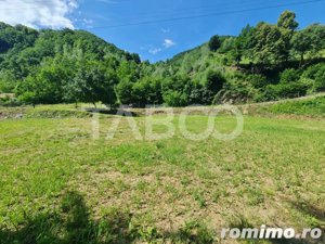 Teren intravilan cu iesire la rau de vanzare pe Transalpina - imagine 6