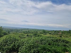 Teren Seciu 18000mp intravilan + extravilan 