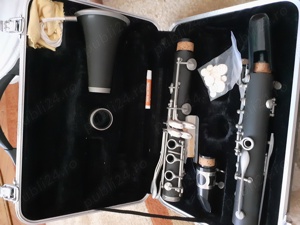 Instrumente muzicale 