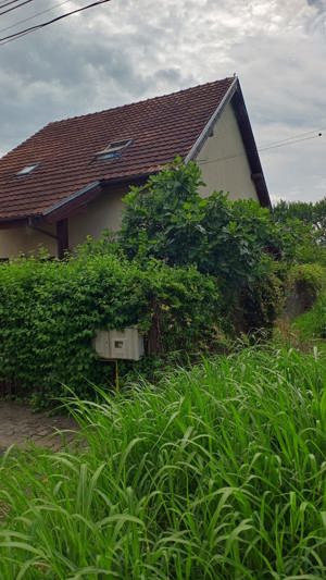 casa individuala de vânzare in Dumbrăvița
