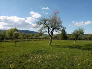 Vand teren intravilan la munte, in Nereju, Vrancea - imagine 5