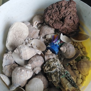 Acvariu Pești  - imagine 3