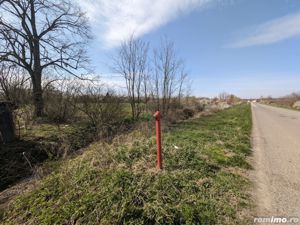 Teren intravilan Balint 22.500 mp - imagine 7