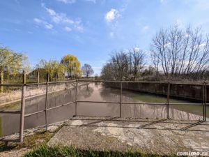 Teren intravilan Balint 22.500 mp - imagine 6