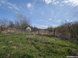 Teren intravilan Balint 22.500 mp - imagine 3