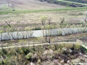 Teren intravilan Balint 22.500 mp - imagine 13