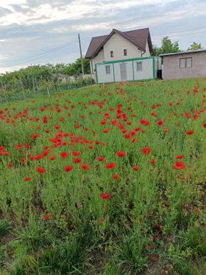 Proprietate de vanzare langa Bucuresti - imagine 6 Proprietate de vanzare langa Bucuresti - imagine 6