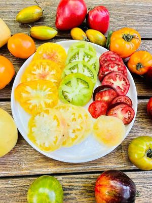 Proprietate de vanzare langa Bucuresti - imagine 9 Proprietate de vanzare langa Bucuresti - imagine 9