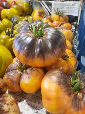 Proprietate de vanzare langa Bucuresti - imagine 8 Proprietate de vanzare langa Bucuresti - imagine 8