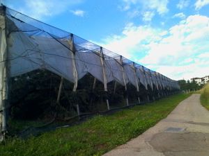 Plase protectie - agricultura, constructii - imagine 2