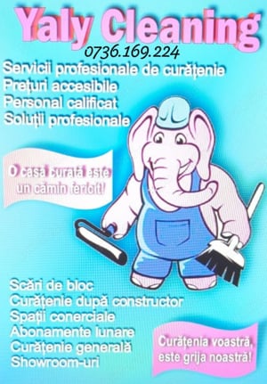 Fete si femei la curatenie