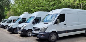 inchiriere duba - imagine 5