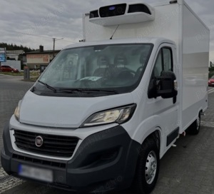 inchiriere duba - imagine 8