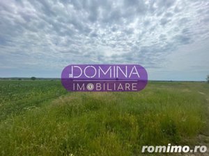 Vânzare teren 10.000 mp, situat în comuna Dănești, sat Bucureasa - imagine 2