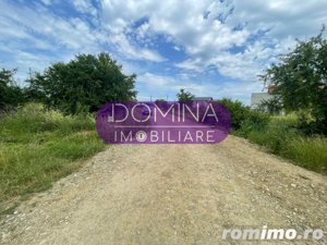 Vânzare teren 10.000 mp, situat în comuna Dănești, sat Bucureasa - imagine 4