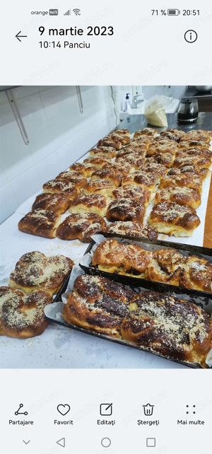 Ofertă servicii bucatar - imagine 10