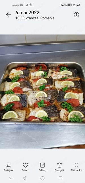 Ofertă servicii bucatar - imagine 6