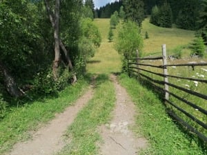 Teren de vanzare in Bucovina Comuna Breaza Zona Paraul Negrei - imagine 2