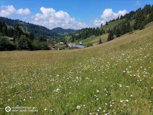 Teren de vanzare 17832 mp intravilan in Bucovina comuna Breaza