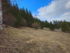 Teren de vanzare  in Bucovina Comuna Breaza - imagine 10