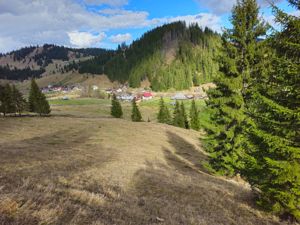 Teren de vanzare  in Bucovina Comuna Breaza - imagine 11